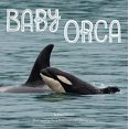 thumbnail image 2 of Baby Orca, Mary Batten Paperback, 2 of 4