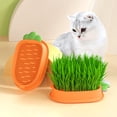 thumbnail image 4 of Carrot Shape Cat Grass Planter - Layered Design, Hollow Grid - Large-capacity Chassis - Double-layer Soil-free Hydroponics, 4 of 8