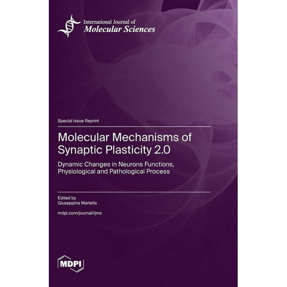 Molecular Mechanisms of Synaptic Plasticity 2.0: Dynamic Changes in Neurons Functions, Physiological and Pathological Pr, (Hardcover)