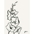 thumbnail image 3 of Popp, Grace 19x24 Black Modern Framed Museum Art Print Titled - Gladiola Sketch III, 3 of 5