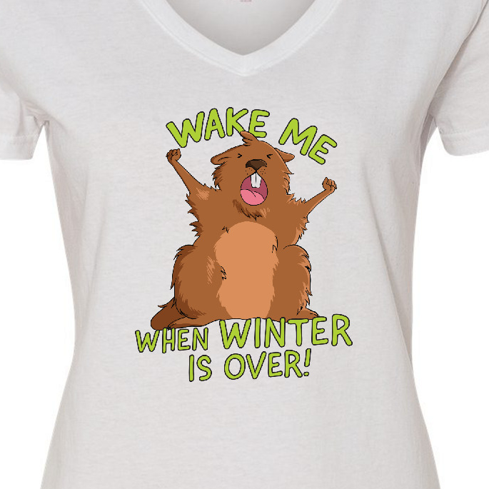 Inktastic Groundhog Day Wake Me when Winter is over Women's V-Neck T-Shirt - image 3 of 4