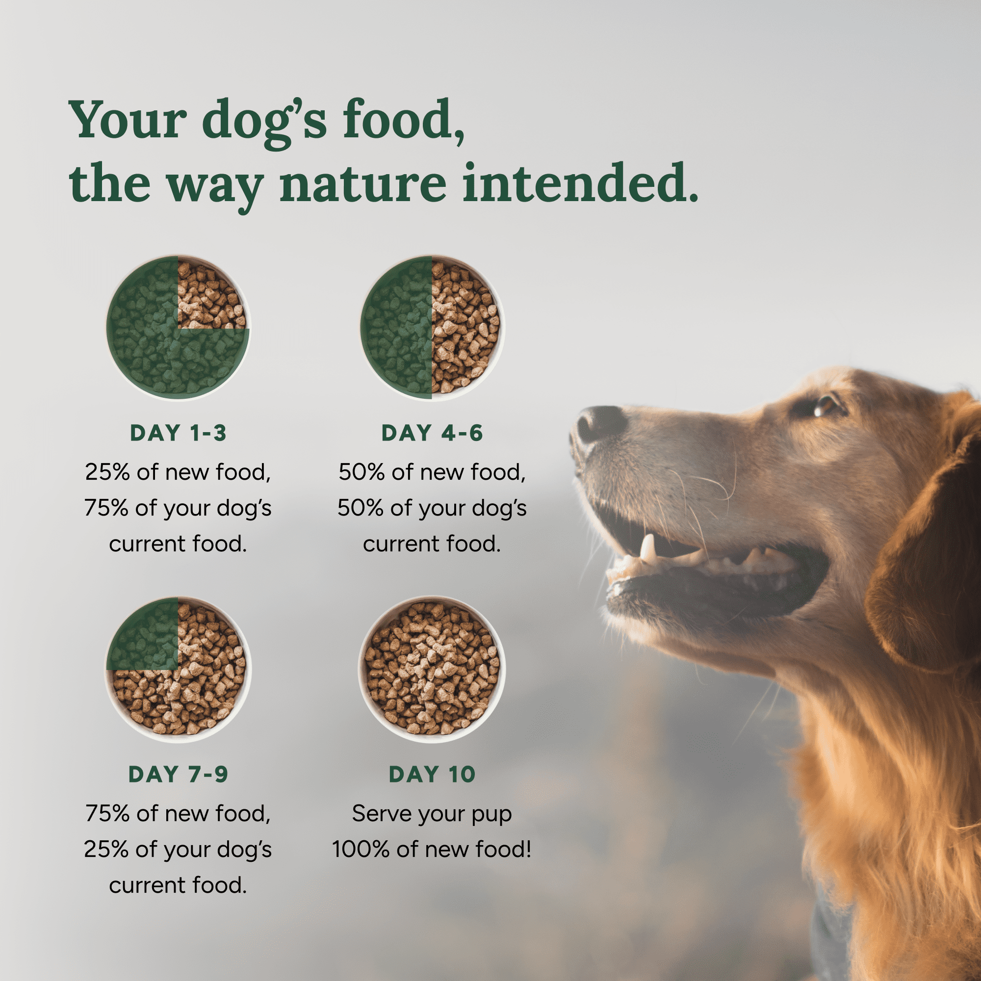 360 Pet Nutrition Chicken Flavor Freeze Dried Dog Food, 48 oz. Bag