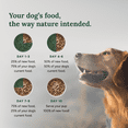 thumbnail image 5 of 360 Pet Nutrition Beef Flavor Freeze Dried Dog Food, 5 oz. Bag, 5 of 9