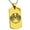 Gold, variant on Stainless Steel Yggdrasil Huginn & Muninn Odin's Ravens Engraved Dog Tag Pendant Necklace