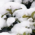 thumbnail image 3 of Artificial Snowflakes Fake Magic Instant Snow Festival Party Decorations For Christmas Wedding Artificial Snow, 3 of 9