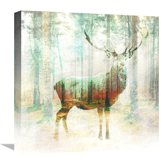 Global Gallery's 'Lord of the Woods (detail)' by Arlo Wren Photos Stretched Canvas Wall Art
