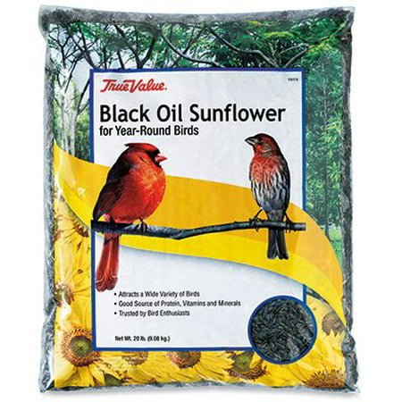 Jrk Seed & Turf Supply B115920 Black Oil Sunflower Bird Seed,