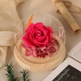 thumbnail image 2 of Preserved Real Flower Glass Dome Eternal Carnation Rose Display For Home Tabletop Decor Gift, 2 of 7
