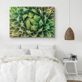 thumbnail image 2 of PixonSign Canvas Print Wall Art Blossoming Green and Orange Succulent Floral Wilderness Photography Realism Glam Closeup Colorful Multicolor Ultra for Living Room, Bedroom, Office - 32"x48", 2 of 5