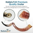 thumbnail image 3 of HalleluYAH Shofar from Israel Yemenite Kudu Fully Polished Shofar Horn Plus Ram Horn, 24-28 inches, 3 of 8