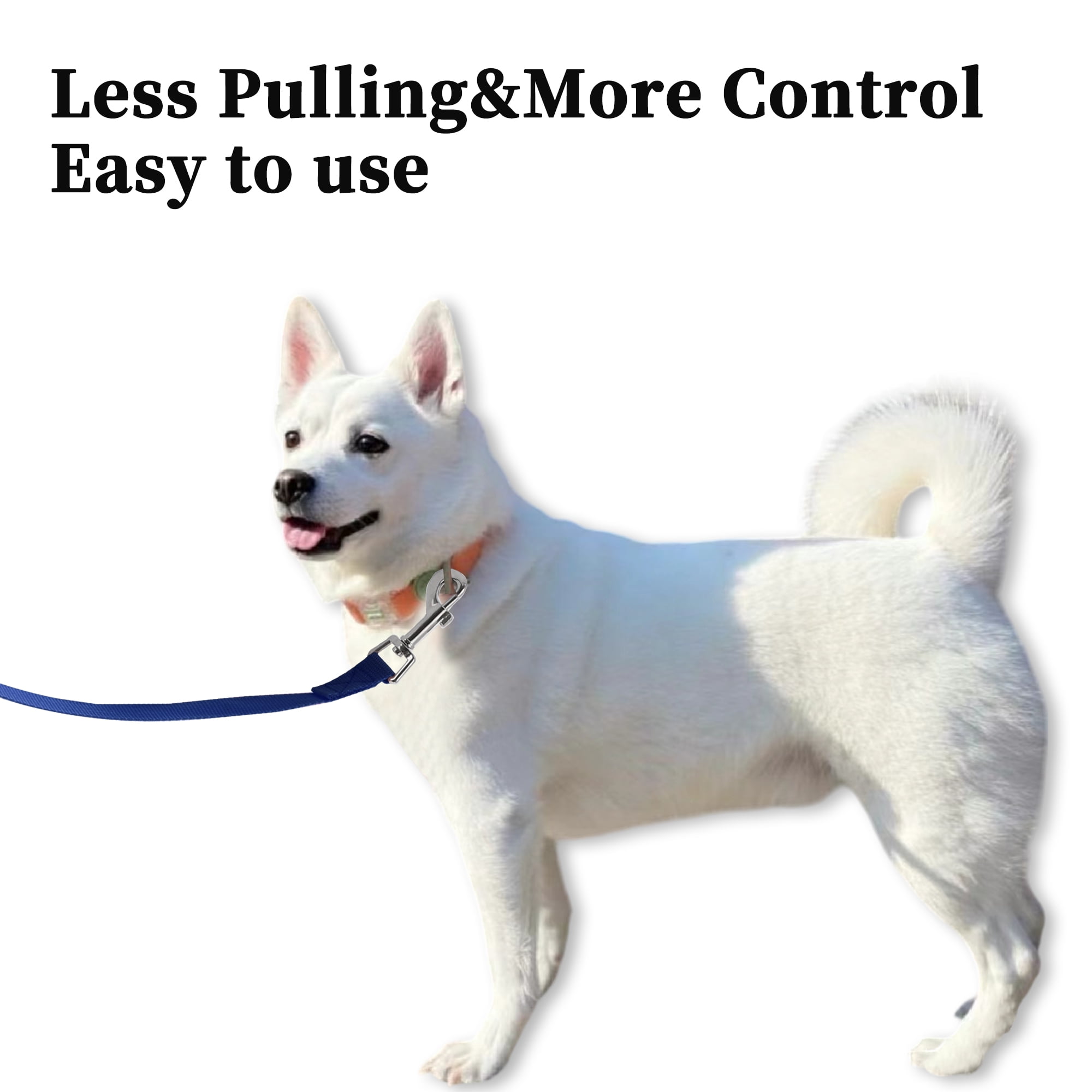 Unique Bargains 32.8ft Long Training Dog Leash Blue