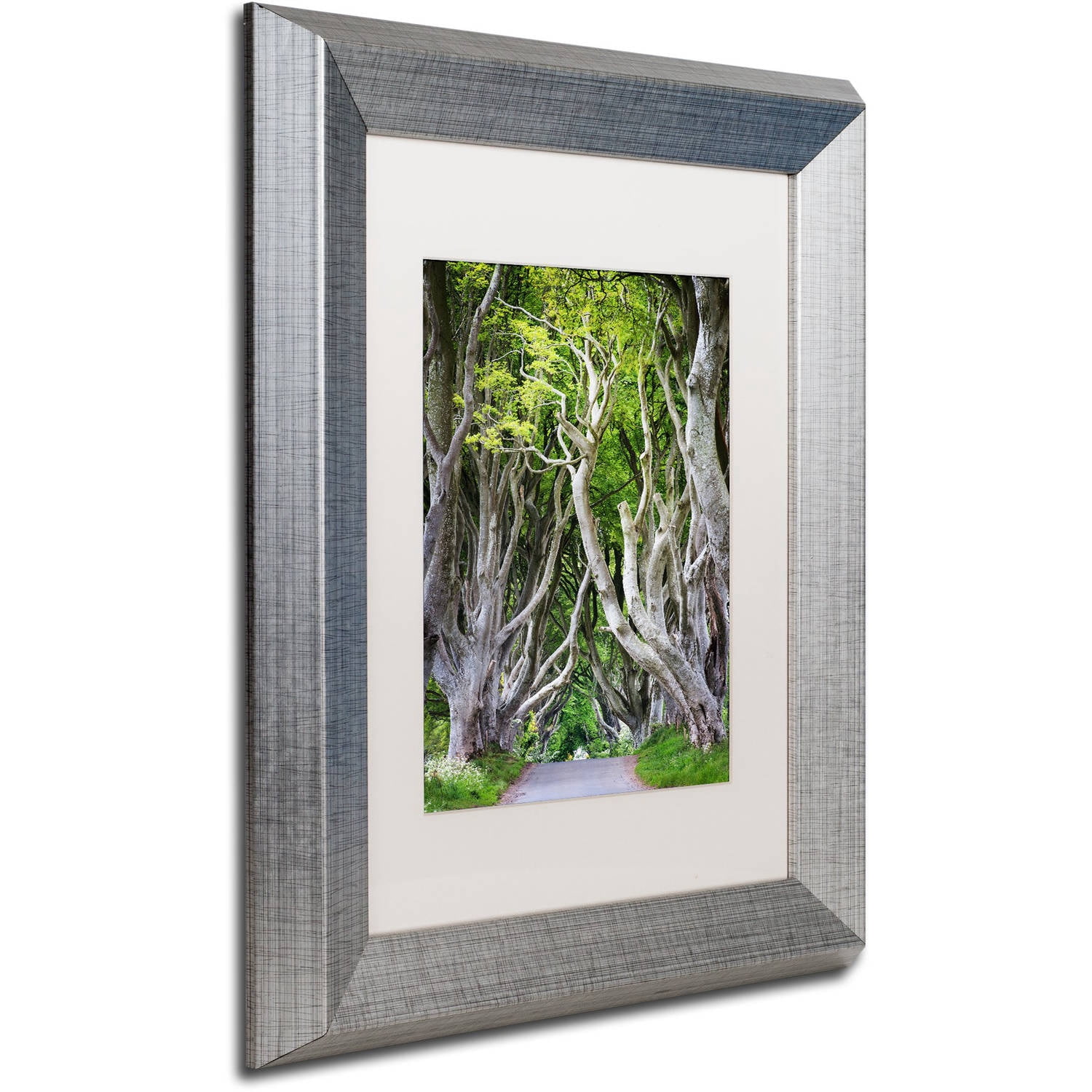 Trademark Fine Art "Down There" Canvas Art by Philippe Sainte-Laudy, White Matte, Silver Frame