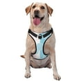 thumbnail image 1 of Blue Gourd Stripes Dog Harness, Pet Dog Out to Prevent Break Free Leash, Adjustable, Easy to Wear, Small, 1 of 9