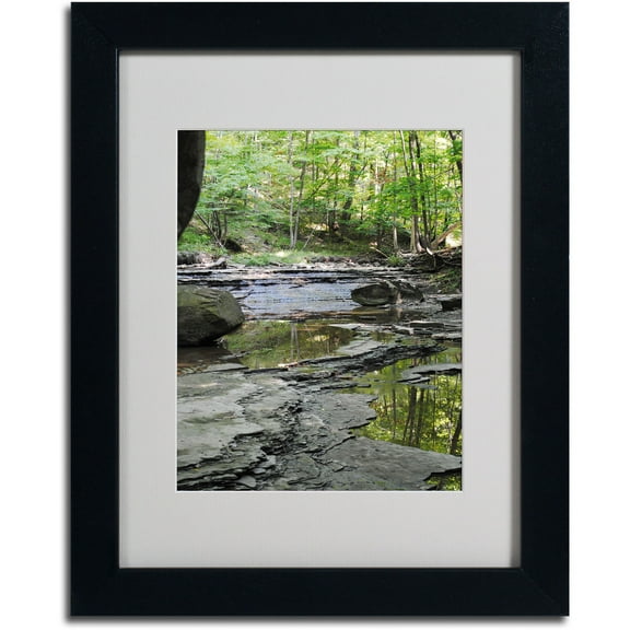 Trademark Fine Art "Crystal Rock" by Monica Fleet, Black Frame