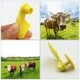 thumbnail image 3 of Miangastore 100pcs Plastic Ox ID Tag Animal Ear Tags Animal Tags Cow Blank Ear Tag, 3 of 9