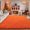 Orange, variant on Orange Soft Shaggy Area Rug