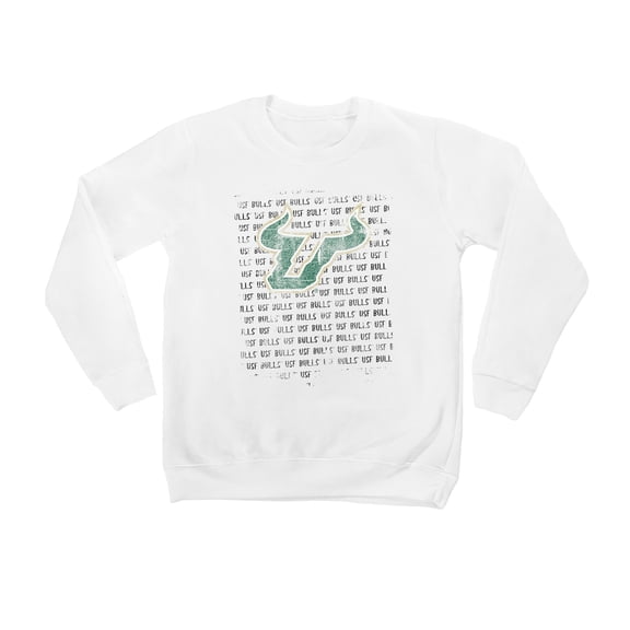 Youth White South Florida Bulls Bold Type Pullover Sweatshirt
