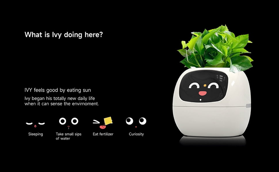Interactive Plant Pot - Maintenance Plant Assistant, Smart Planter with Time & Temperature Display, Expressive Animations (Purple)