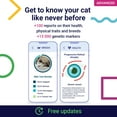 thumbnail image 6 of Koko DNA Test for Cats | Advanced Range | 150 Breeds, Health & Traits Reports | All Fees Included, 6 of 9