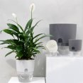 thumbnail image 1 of Self Watering Planter Self Watering Pot Flower Planter Planting Pot Decorative Planter Self Watering Planter Cotton Rope Plastic Decorative Planting Pot For Indoor Outdoor Plants, 1 of 5