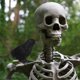 thumbnail image 3 of 6Pcs Scary Halloween Crow Decorations Realistic Looking Black Feathered Bird Party Accessories Home Decors, 3 of 4