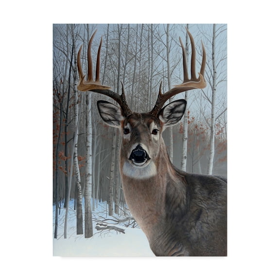 Trademark Fine Art 'Deer' Canvas Art by Rusty Frentner