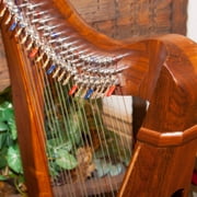 Roosebeck Heather Harp 22-String, Sheesham 5-Panel, Chelby Levers
