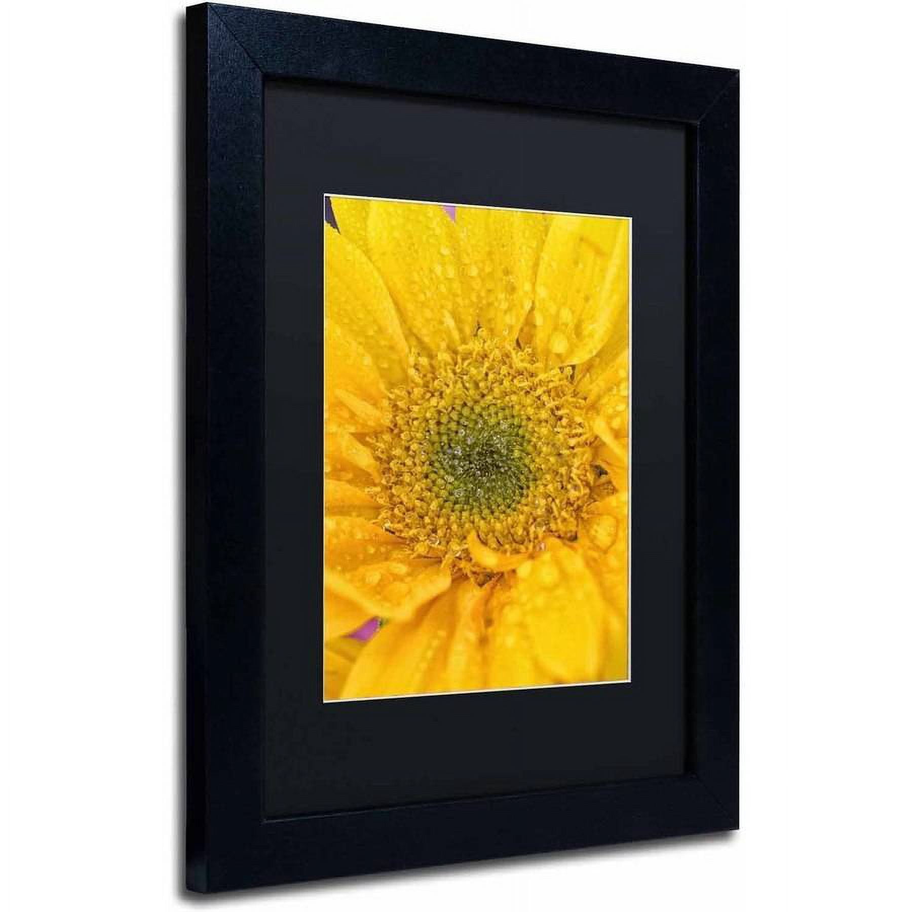 Trademark Fine Art 'Joyful Color' Canvas Art by PIPA Fine Art, Black Matte, Black Frame