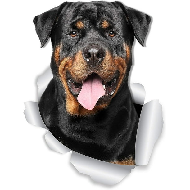 Calcomanías de pared perro ROTTWEILER sonriente WEIHJMXG Paquete de 2 Pegatina 3D