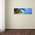 thumbnail image 3 of Trademark Fine Art 'Palm Landscape' Canvas Art by Doug Cavanah, 3 of 3