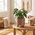 thumbnail image 3 of Flora Bunda 6Inch Aqeuduct Footed Ceramicfor Succulents, Candies, Paper pins for Home Office Decorations , Mauve (no Drainage Hole, no Mess), 3 of 5