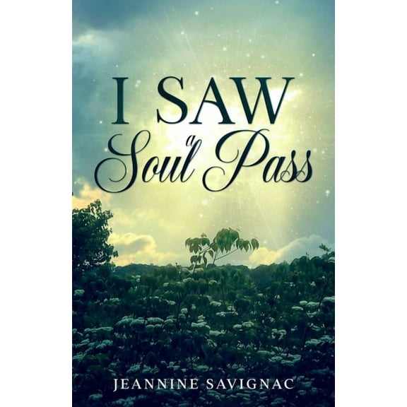 I Saw A Soul Pass, (Paperback)