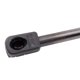 thumbnail image 4 of Trq Soporte De Elevación De Puerta Trasera Izquierda Compatible Con Mazda Mpv 2000-2006, 4 of 5