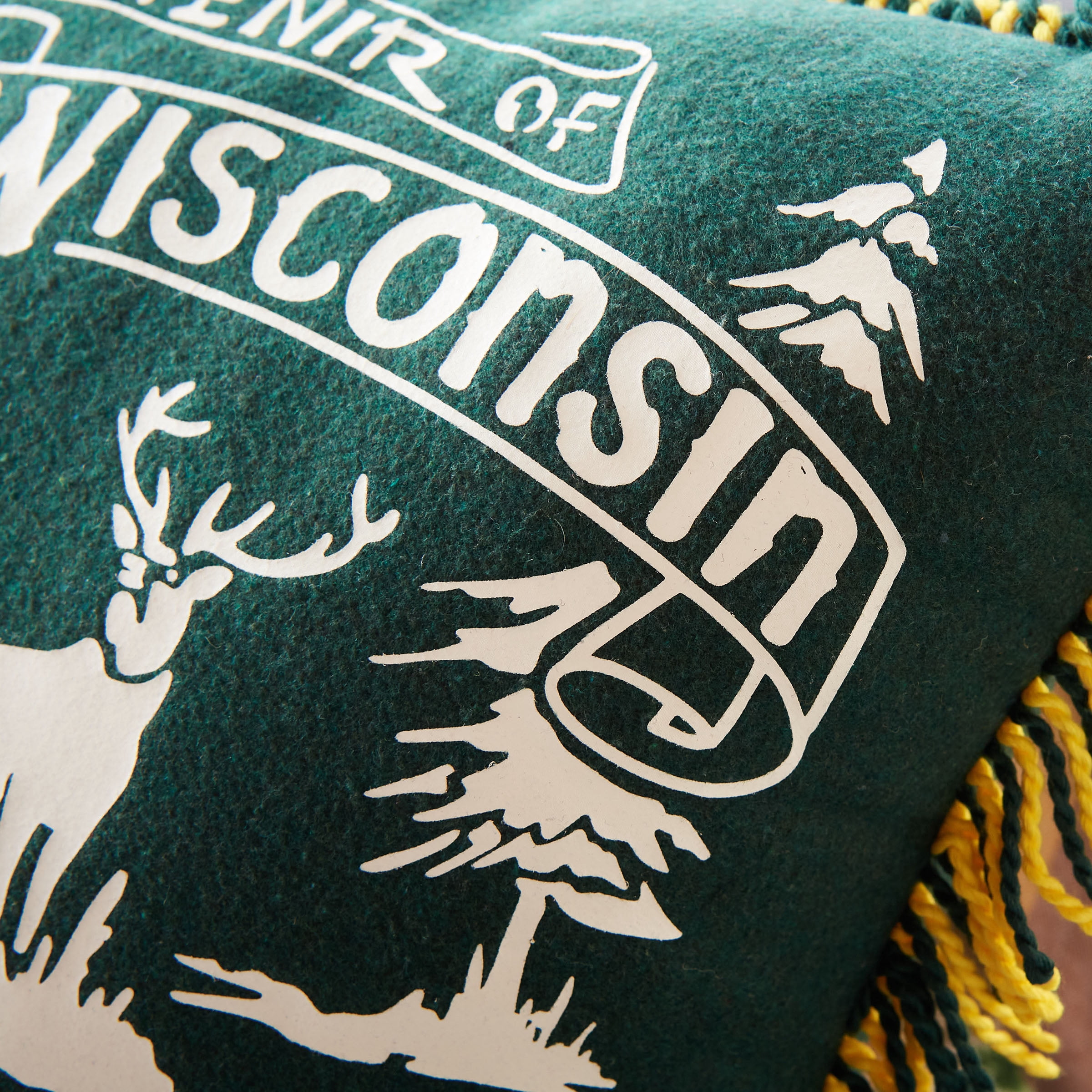 Makers Collective Camp Wandawega Souvenir Green Decorative Pillow, 20"X20"