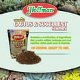 Hoffman Organic Cactus and Succulent Soil Mix