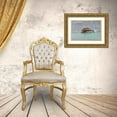 thumbnail image 3 of Jones, Adam 18x13 Gold Ornate Wood Framed with Double Matting Museum Art Print Titled - Brown pelican taking off from water-San Cristobal Island-Galapagos Islands-Ecuador, 3 of 4