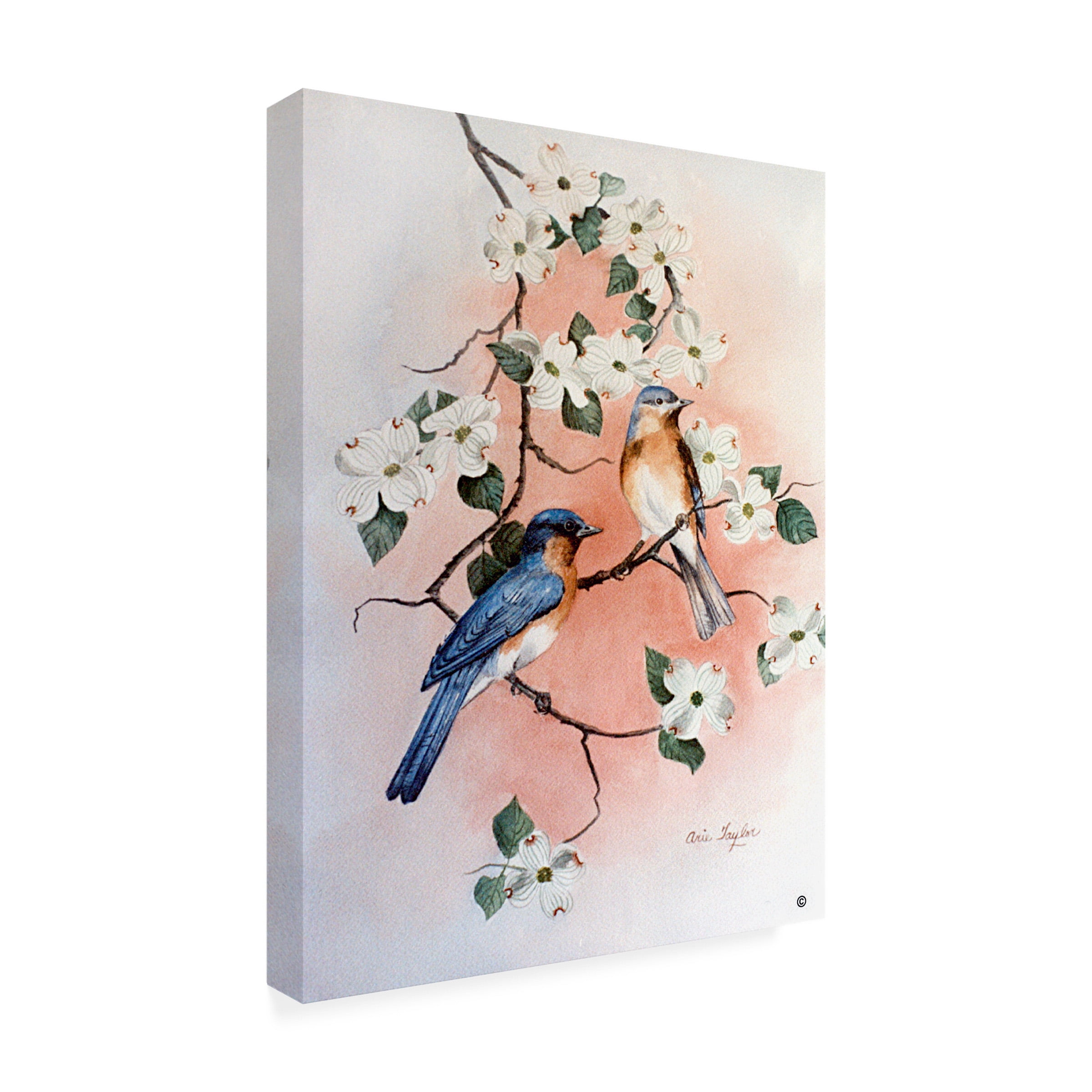 Trademark Fine Art 'Bluebirds and Dogwood' Canvas Art by Arie Reinhardt Taylor