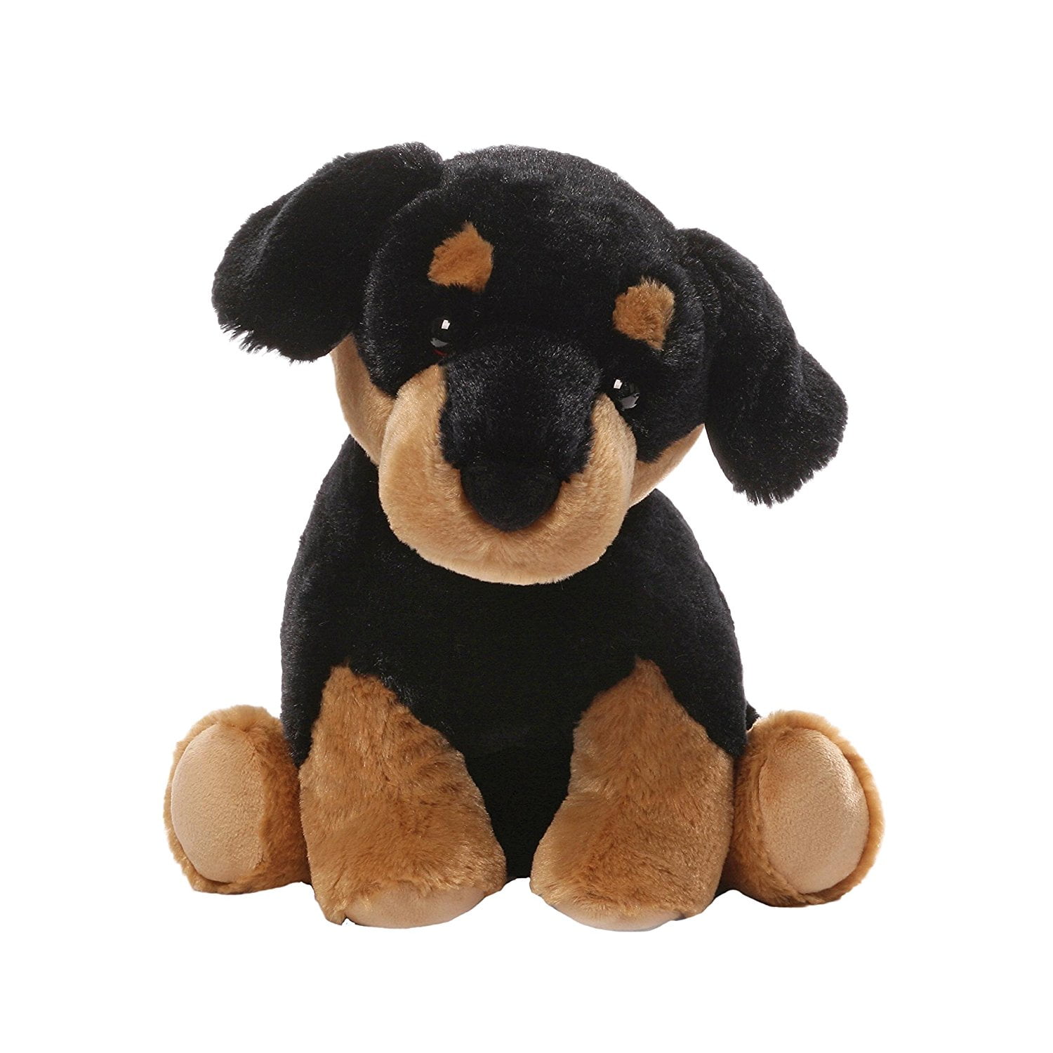 rottweiler teddy