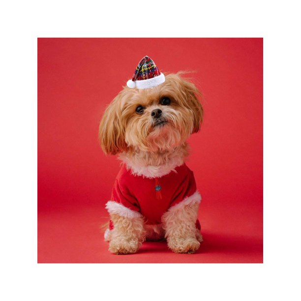 1pc Pet Holiday Hat, Cute Classic Christmas Pattern With Elastic Band For Dogs, Cats, Pet Apparel & Decorations For Photography, Christmas