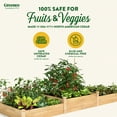 thumbnail image 6 of Greenes Fence Tall Tiers 4' x 12' x 10-14" (3/4" Thick) Premium Cedar Raised Garden Bed, 6 of 8