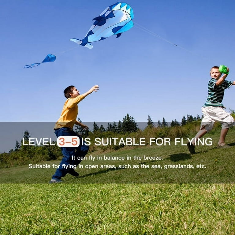 3D Kite Huge Frameless Soft Parafoil Giant Blue Dolphin Breeze Kite