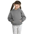 thumbnail image 2 of Hanes Youth ComfortBlend EcoSmart Pullover Hoodie, M, Light Steel, 2 of 6