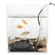 thumbnail image 3 of Cateissary Tanque de peces bajo el agua LED que brilla en la oscuridad, lámpara de burbujas de acuario de oxígeno que cambia, accesorios de luz Iluminación novedosa, 3 of 6