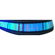 IT'S RIDIC! LED Reflective Light Small Blue with Rainbow Stripes Dog Collar