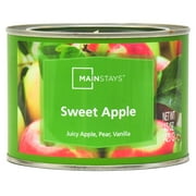 Mainstays Sweet Apple 2 Wick Paint Can Candle 15 Ounce