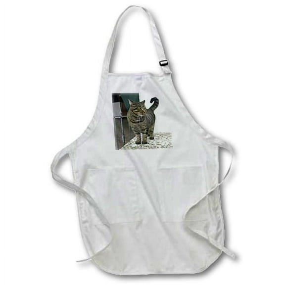 3dRose, Cat, BLACK Full Length Apron with Pockets 22w x 30l