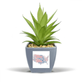 thumbnail image 1 of USA America Map City Wordcloud Fake Pineapple Flower Pot Vase Mini Decor, 1 of 3