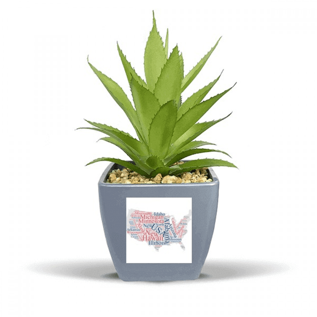 USA America Map City Wordcloud Fake Pineapple Flower Pot Vase Mini Decor