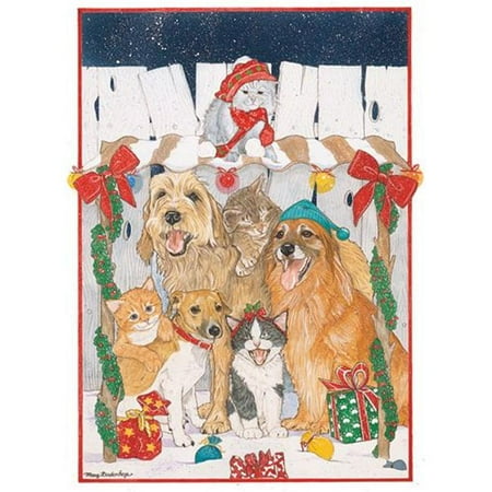pipsqueak productions c471 mix dog with cat holiday boxed boxed christmas cards walmart