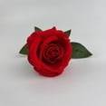 thumbnail image 4 of Chenmei Articles Essentiels Populaires pour la Maison : Fleurs Artificielles Roses Réalistes Longues Roses Rouges Bouquet pour Centre de Table de Mariage Décoration de la Maison et Saint-Valentin, 4 of 8